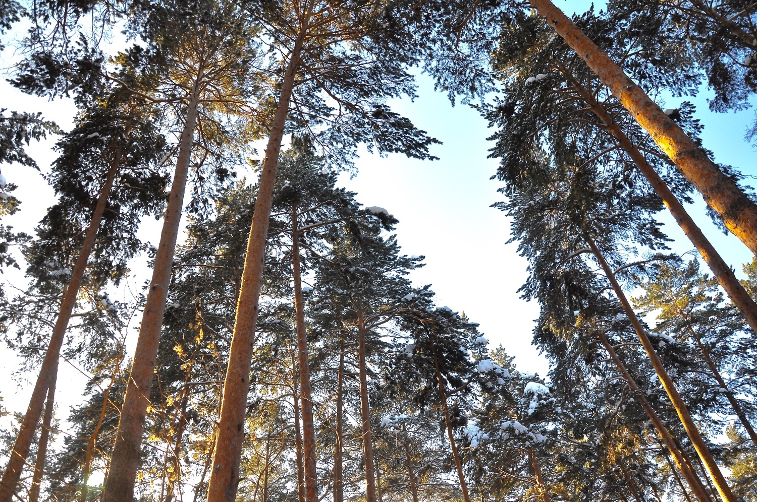 Уединение с природой 